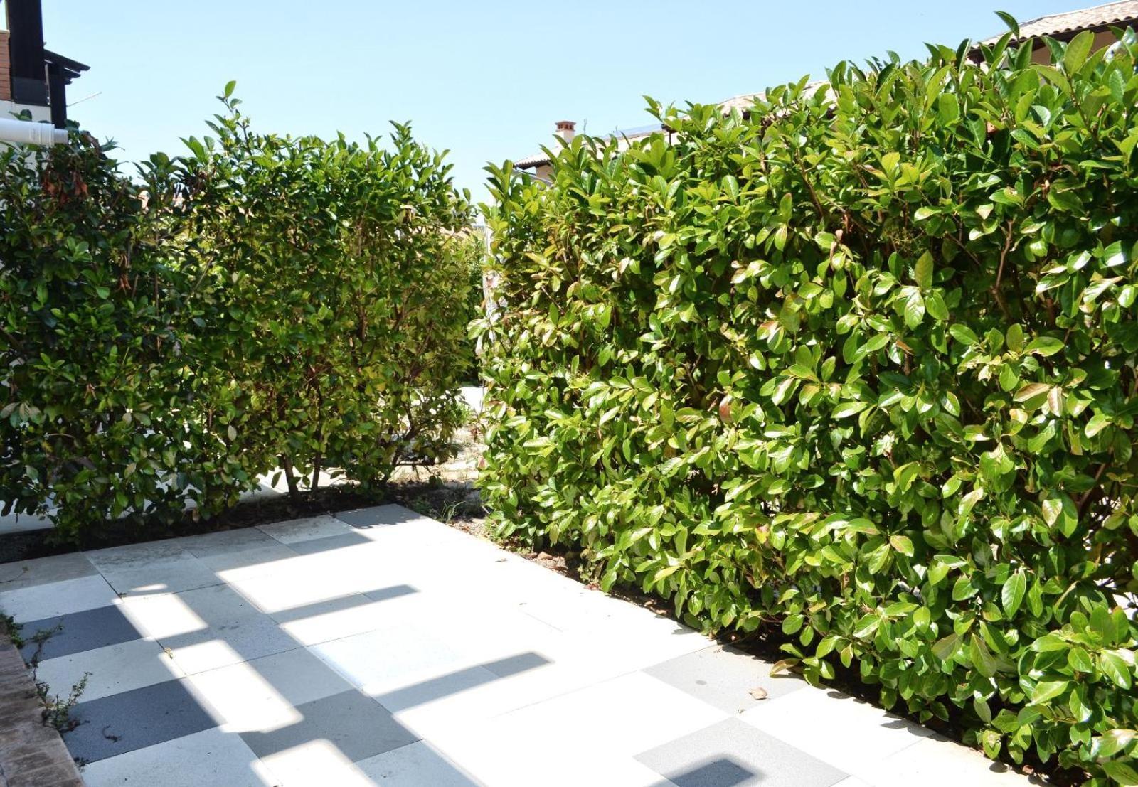 Le Case Del Carmine Con Giardino E Parcheggio A Tropea Luaran gambar