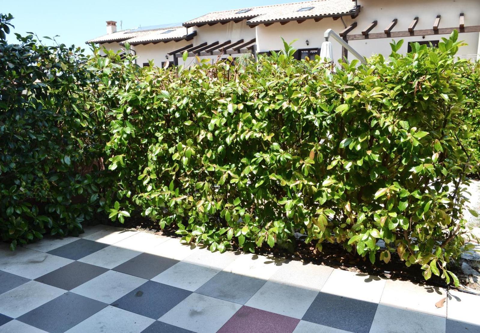 Le Case Del Carmine Con Giardino E Parcheggio A Tropea Luaran gambar